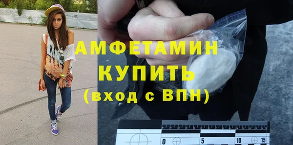 мет Алексин
